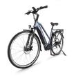 Bafang Accolmile Flamingo M200