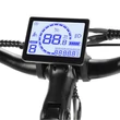 ELEGLIDE T1 STEP THRU 36V 250W