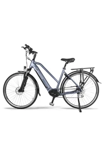 Bafang Accolmile Flamingo M200