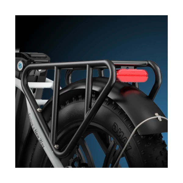 ENGWE L20 250W